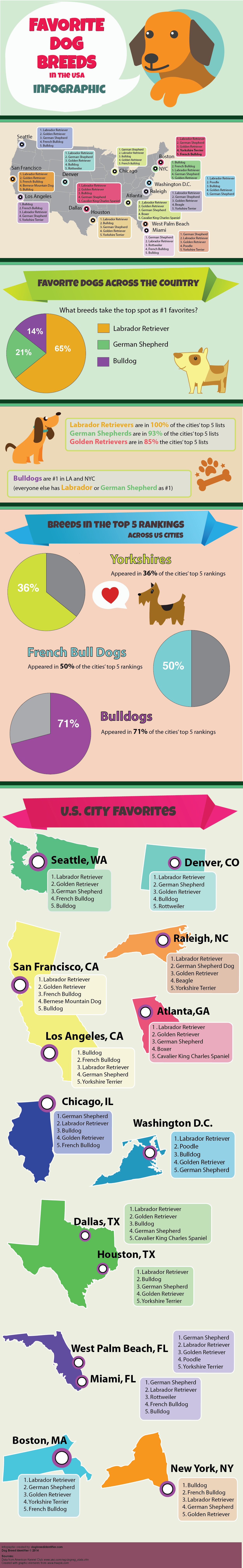 Top Dog Breeds in the USA Infographic