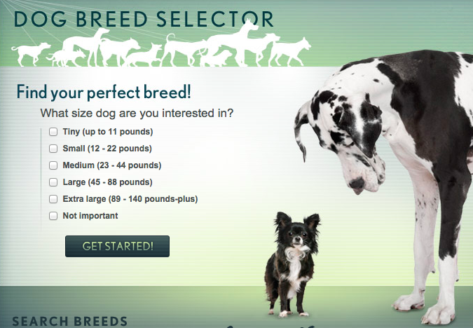 quiz to determine best job for me breed